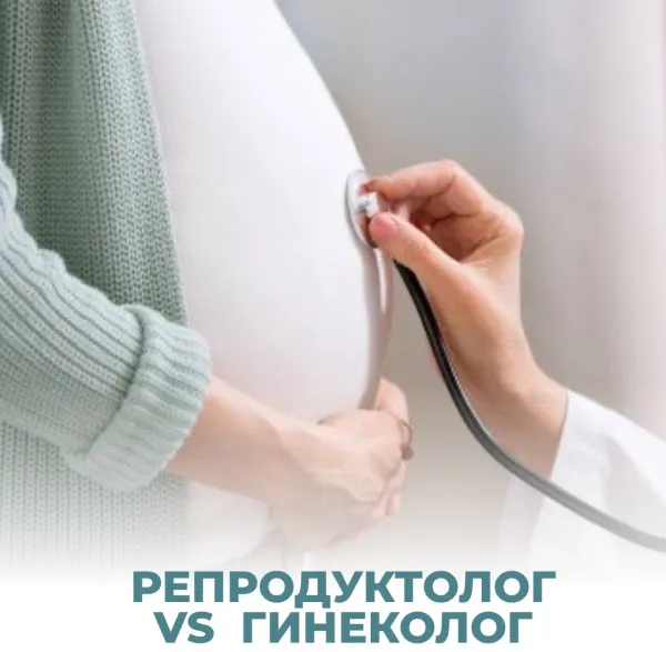 К какому специалисту обратиться? Репродуктолог VS Гинеколог