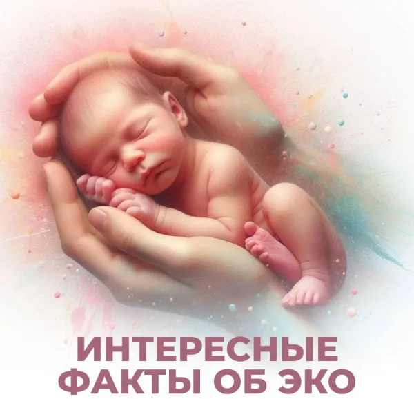 Интересные факты об ЭКО